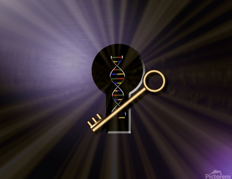 DNA Solution  Print